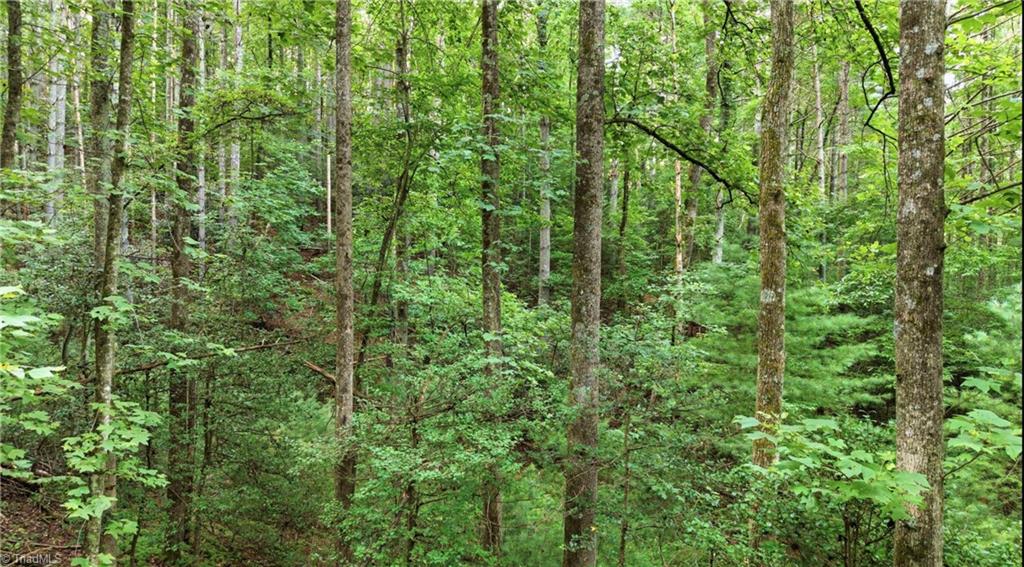 11526 Highway 421 Purlear, NC 28665 - Photo 39 of 45