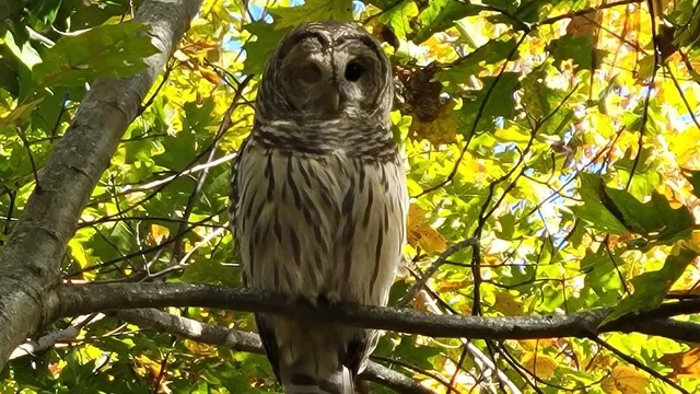 $370,000 | 450 Carroll Road, Warren, ME 04864