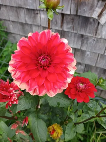 $370,000 | 450 Carroll Road, Warren, ME 04864