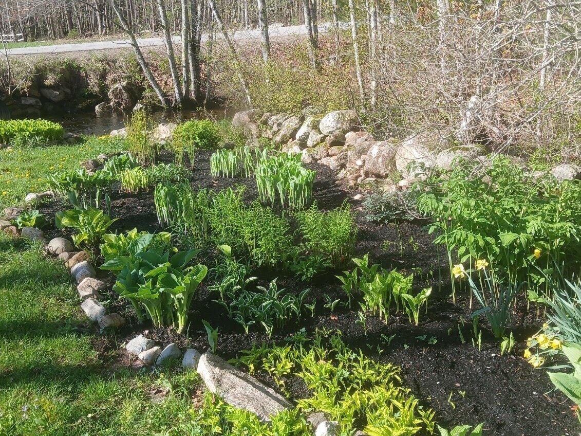 450 Carroll Road Warren, ME 04864 - Photo 48 of 51 97A981AE-499F-4538-8D76-DA2348C840BBremo