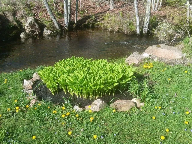 $370,000 | 450 Carroll Road, Warren, ME 04864