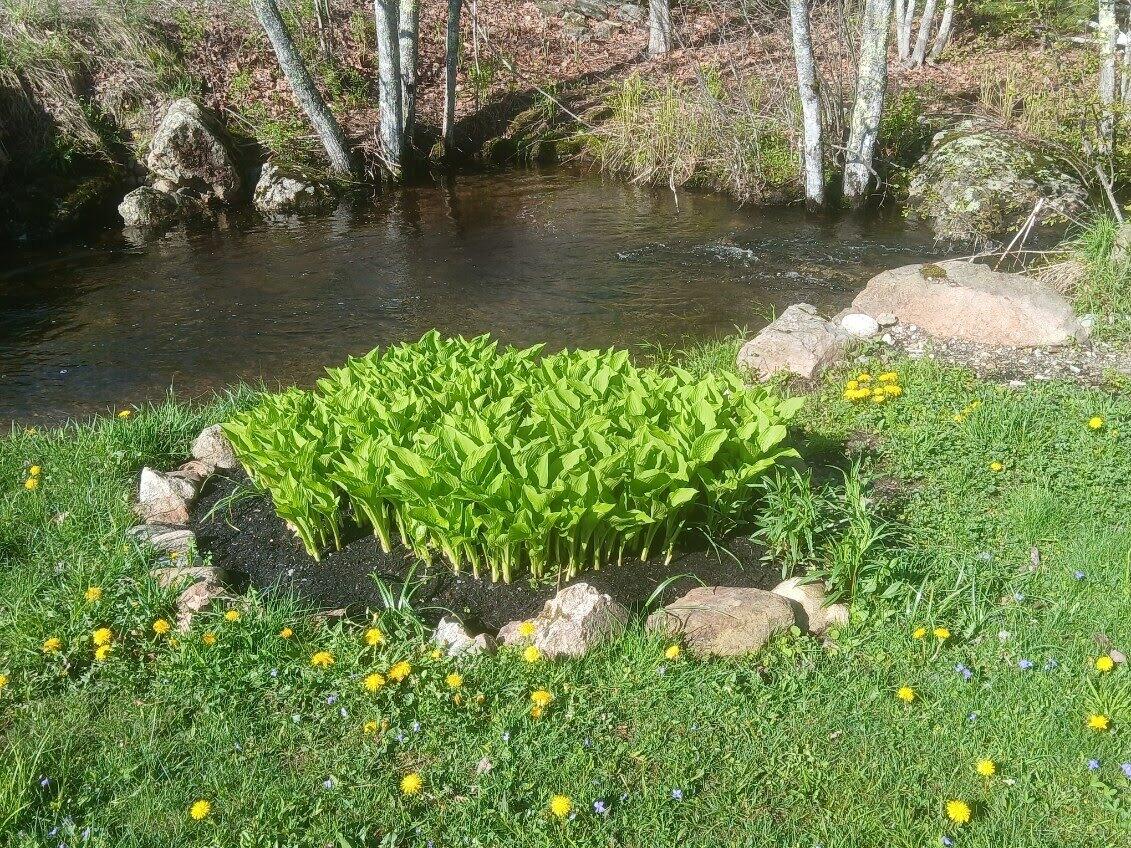 450 Carroll Road Warren, ME 04864 - Photo 49 of 51 CFA02AA3-8846-471C-A0ED-C9A384155615remo