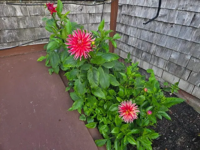 $370,000 | 450 Carroll Road, Warren, ME 04864