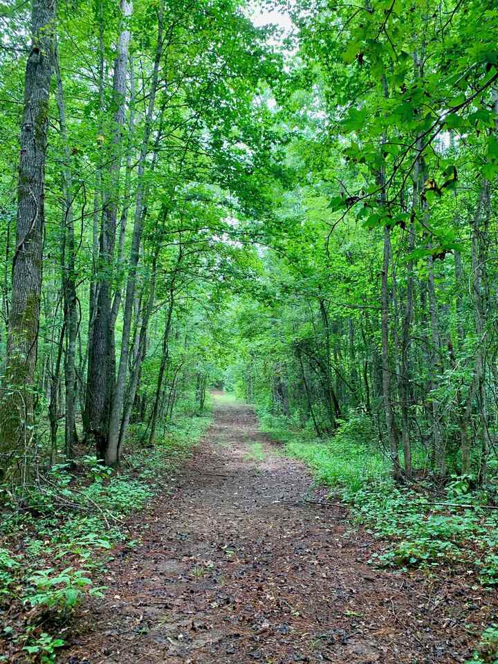 6 Martin Road, Unit 6 Forsyth, GA 31029 - Photo 1 of 1 a view of a forest with trees in the background