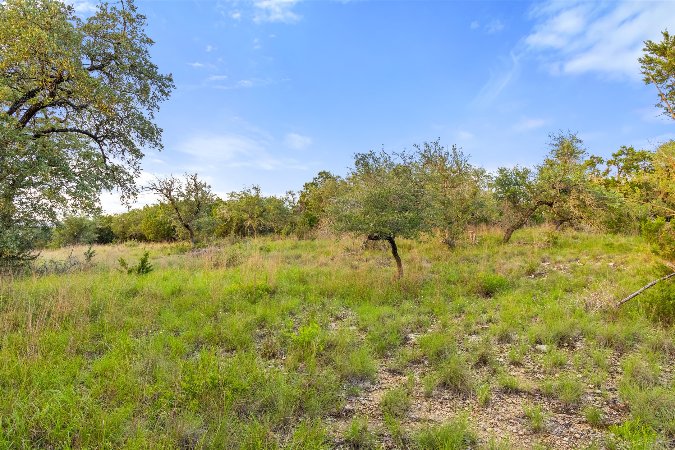 31860 Mirela Ann Road Dripping Springs, TX 78620 - Photo 8 of 20