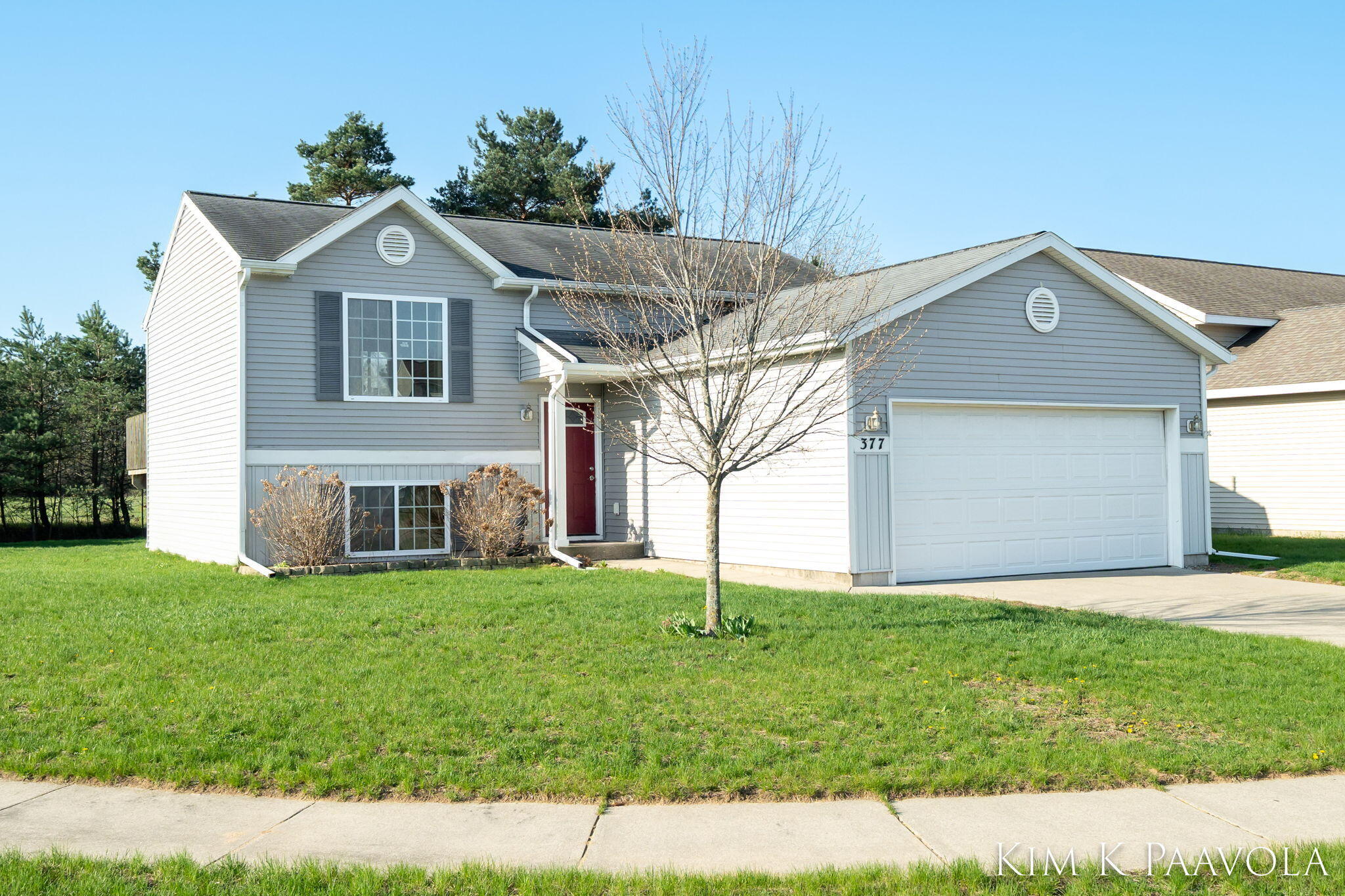 377 Pine Ridge Drive Belding, MI 48809 - Photo 1 of 44 Front Exterior