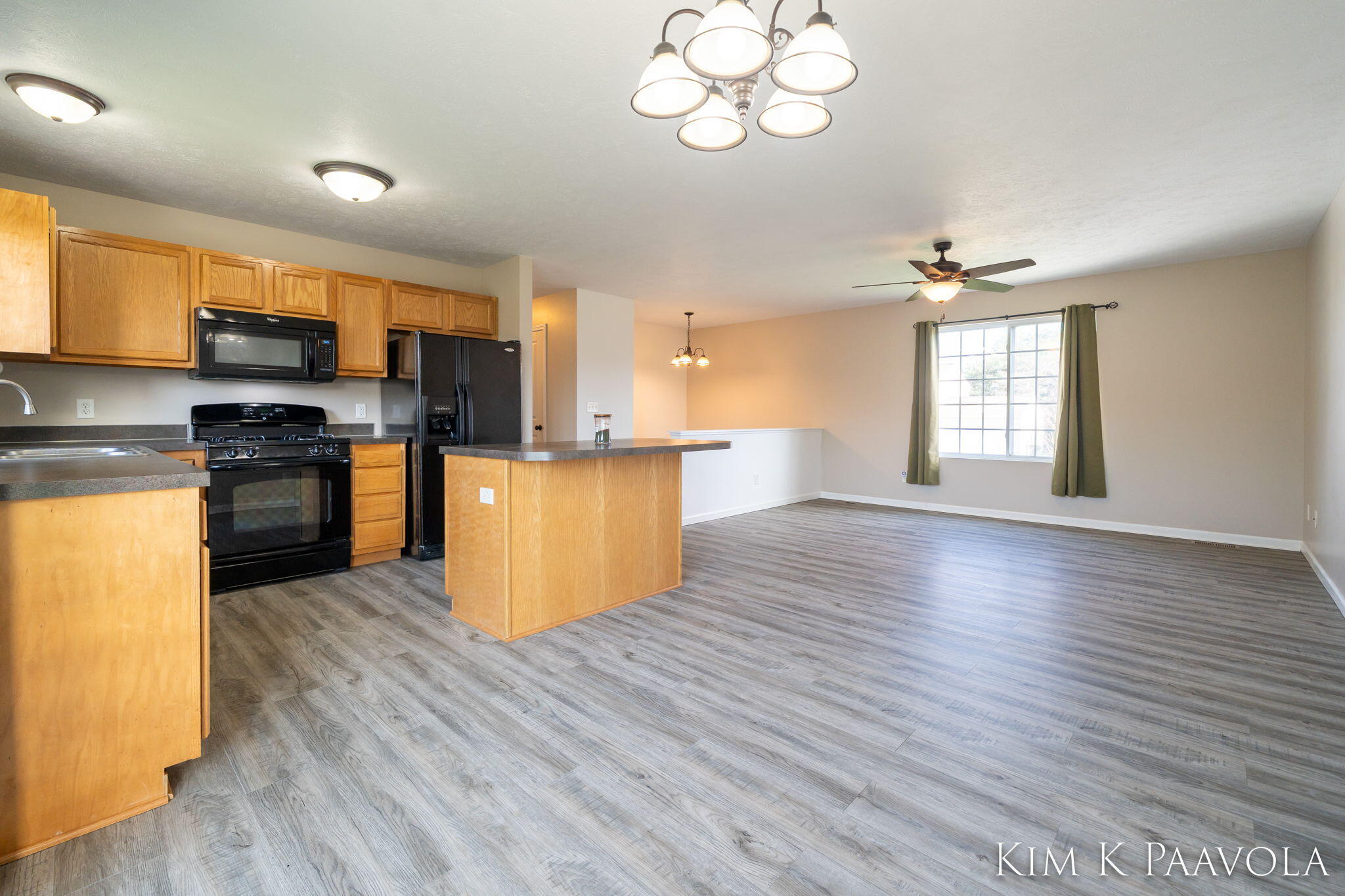 377 Pine Ridge Drive Belding, MI 48809 - Photo 12 of 44 Kitchen and LR