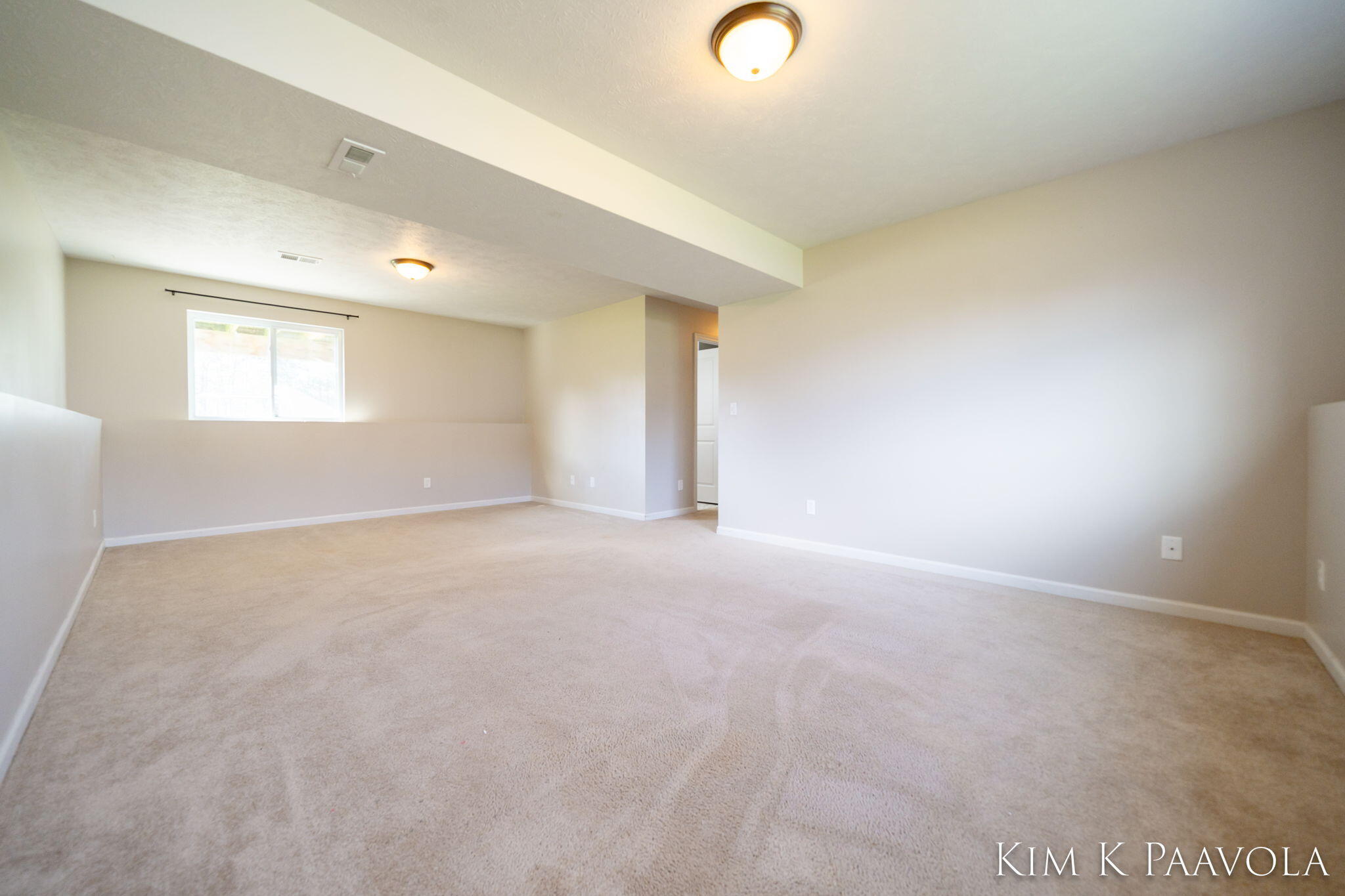 377 Pine Ridge Drive Belding, MI 48809 - Photo 20 of 44 Daylight level FR