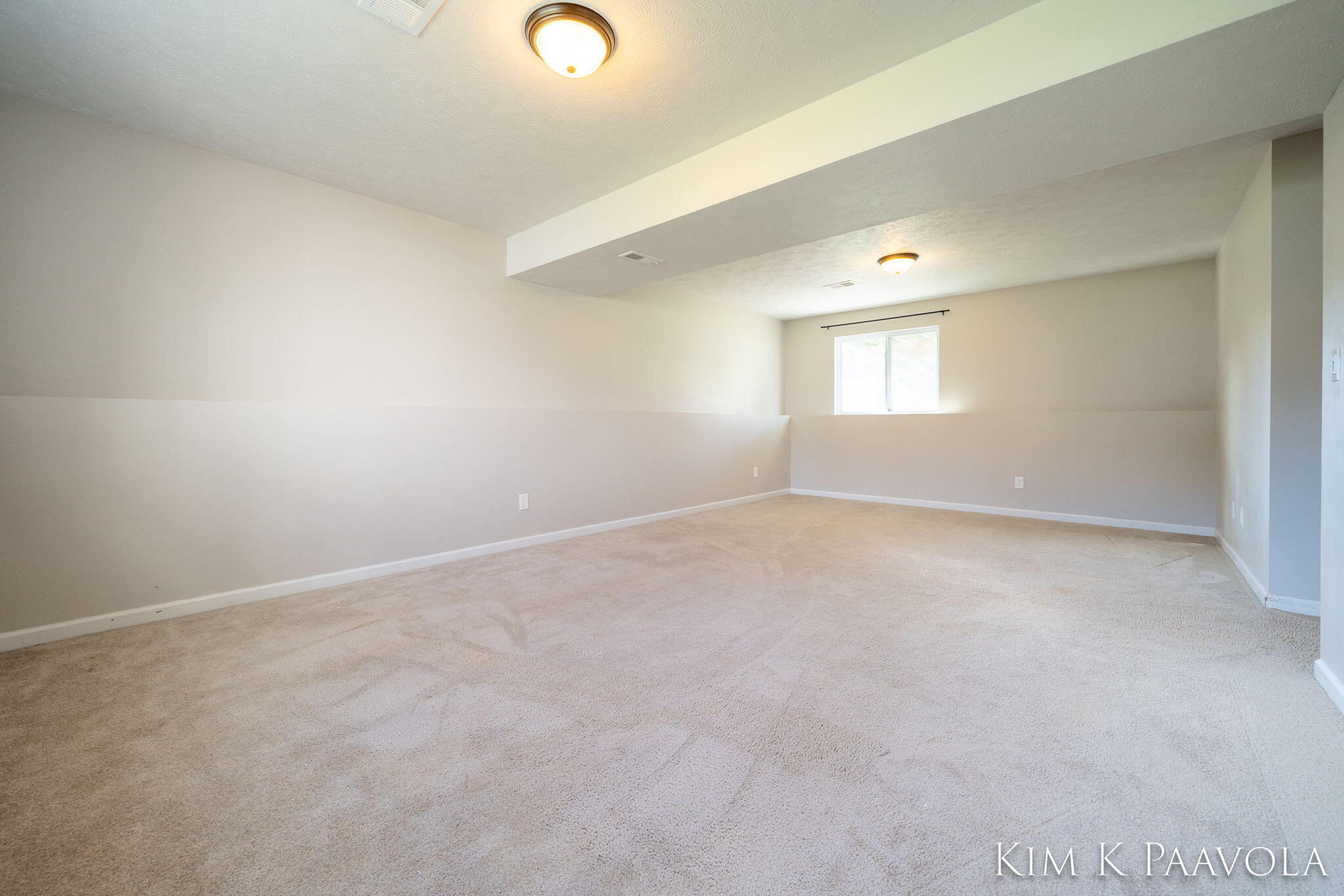 377 Pine Ridge Drive Belding, MI 48809 - Photo 21 of 44 Daylight level FR