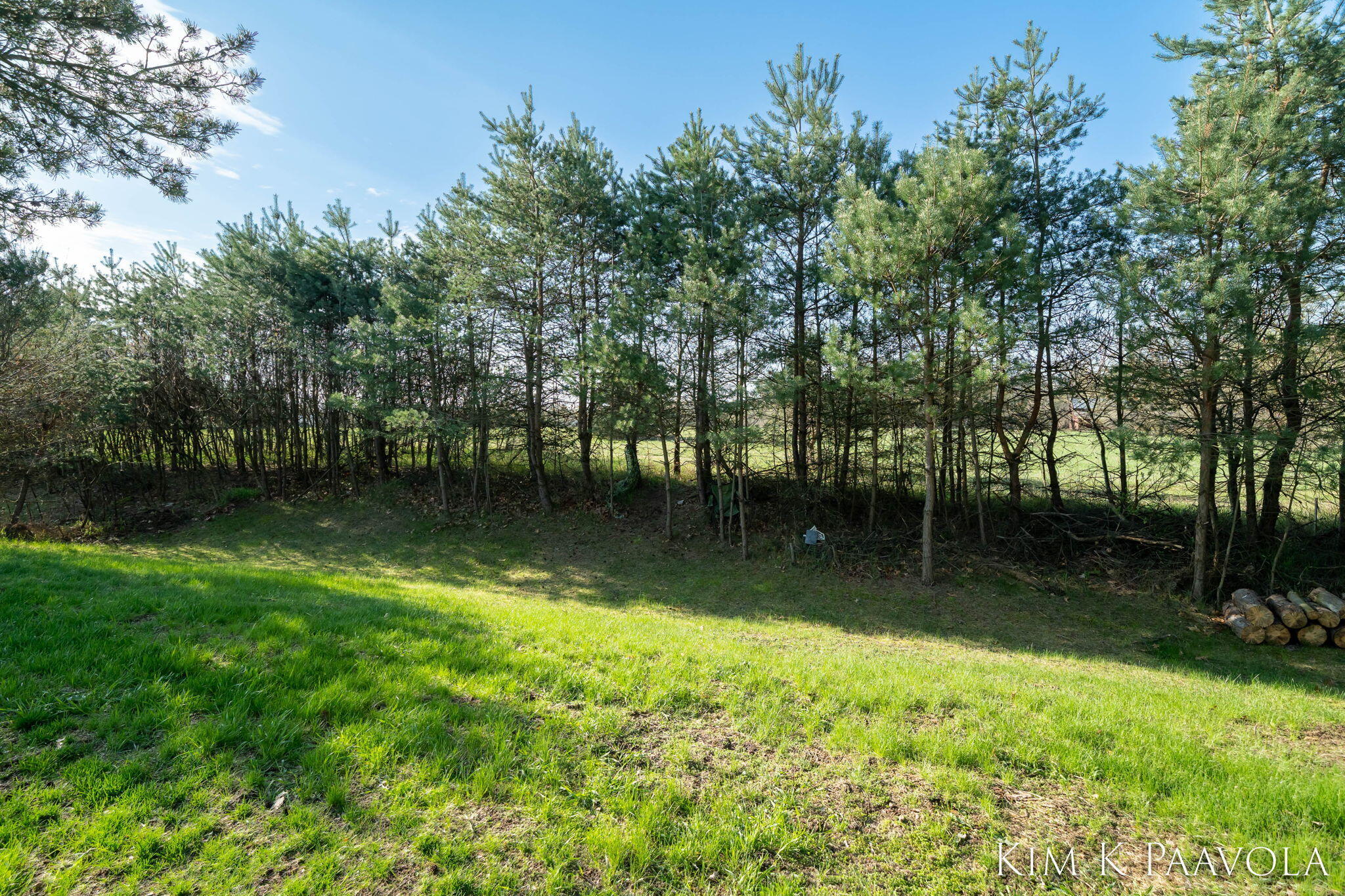 377 Pine Ridge Drive Belding, MI 48809 - Photo 39 of 44 Backyard