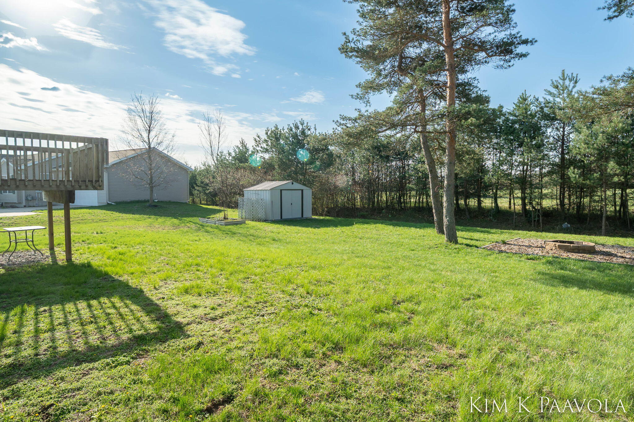 377 Pine Ridge Drive Belding, MI 48809 - Photo 40 of 44 Backyard