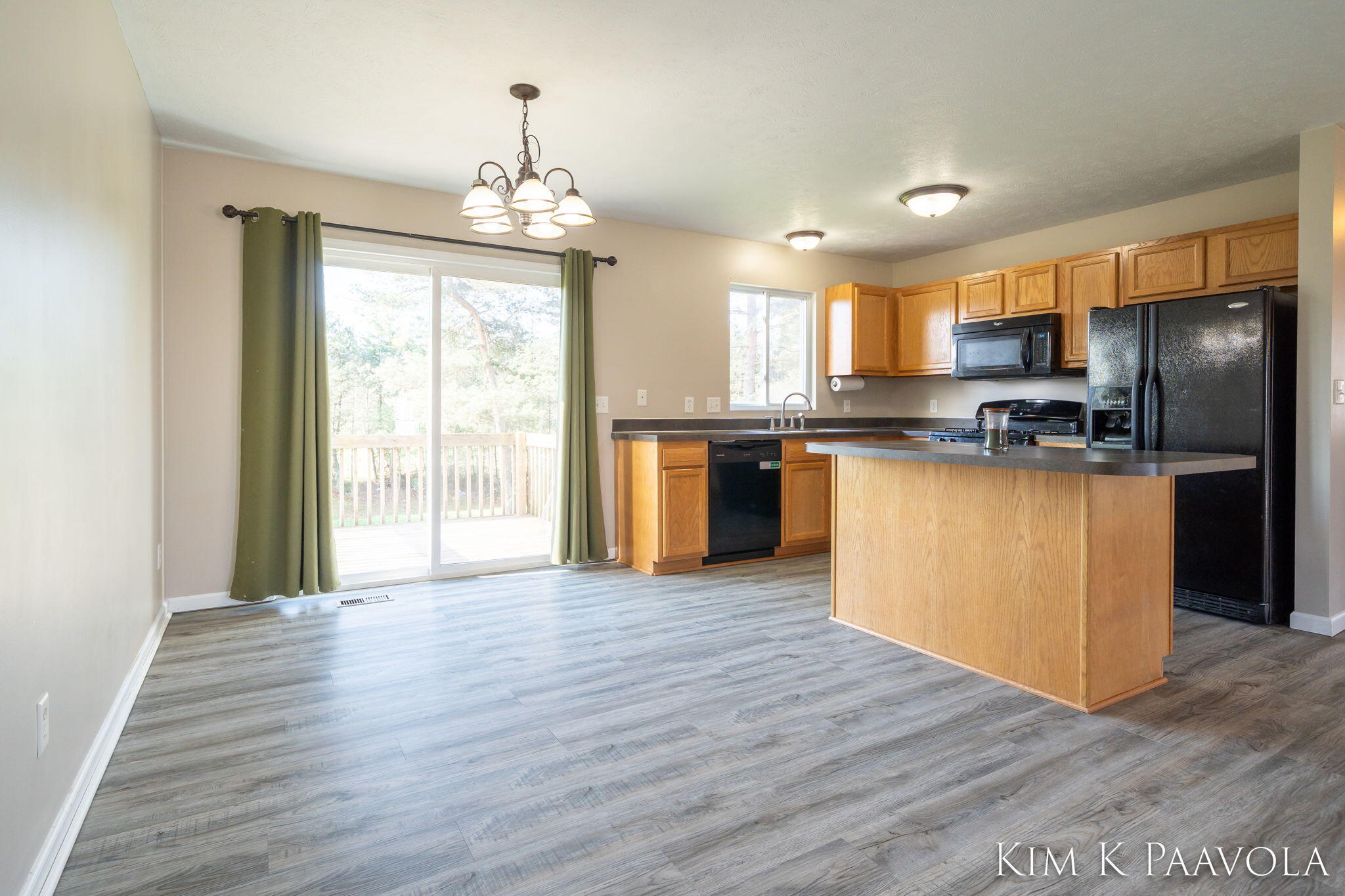 377 Pine Ridge Drive Belding, MI 48809 - Photo 4 of 44 Dining & Kitchen