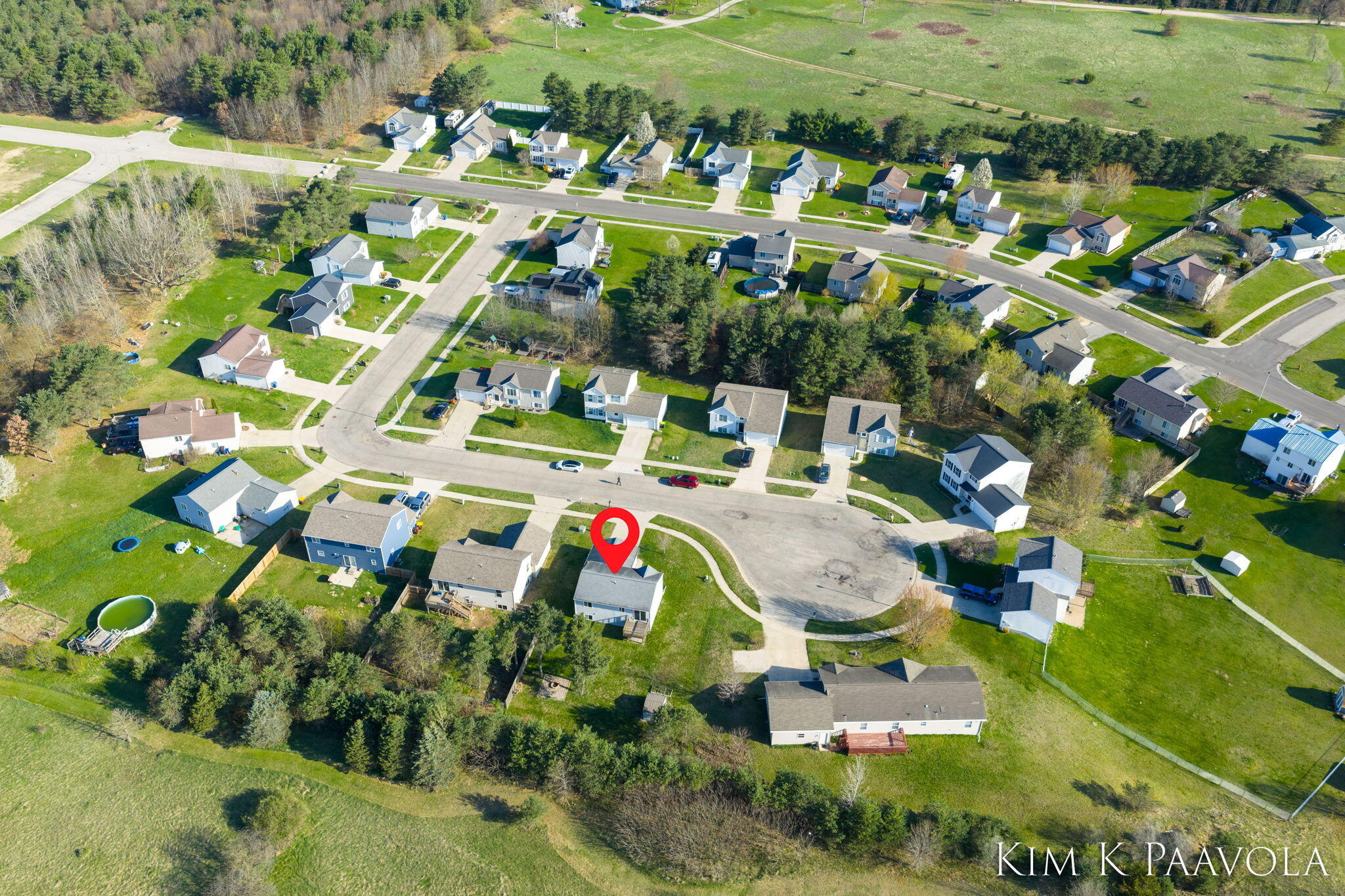 377 Pine Ridge Drive Belding, MI 48809 - Photo 42 of 44 Aerial view