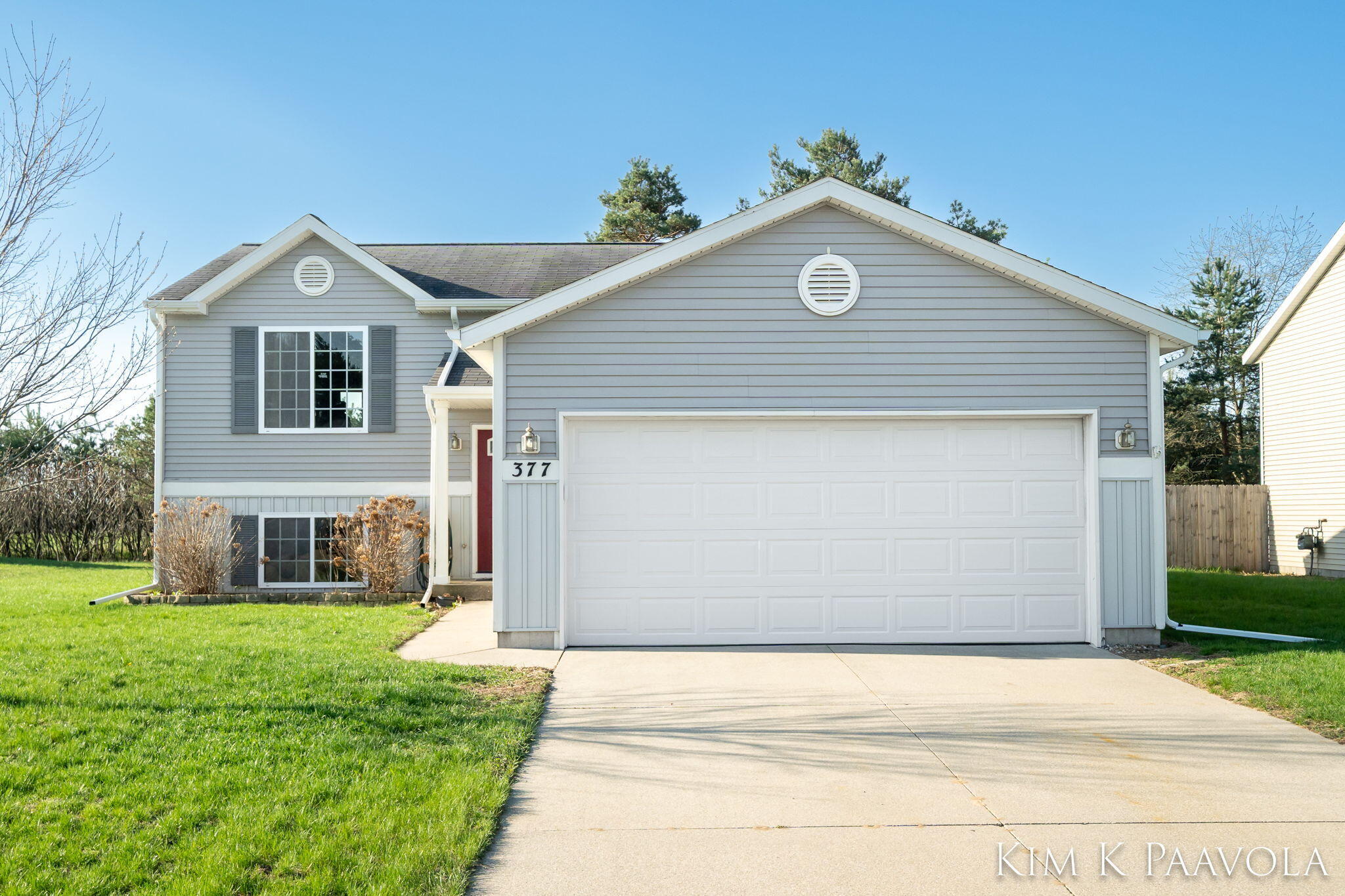 377 Pine Ridge Drive Belding, MI 48809 - Photo 43 of 44 Front View
