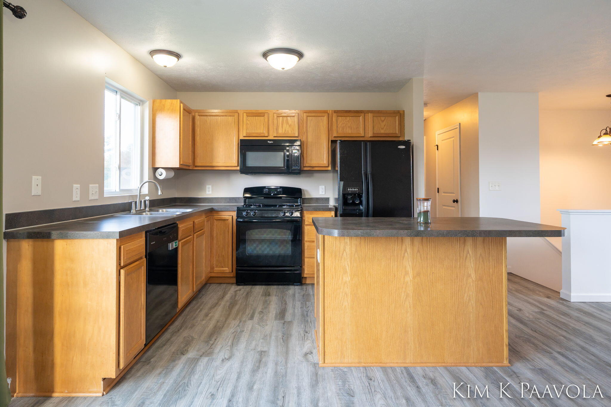 377 Pine Ridge Drive Belding, MI 48809 - Photo 9 of 44 Kitchen