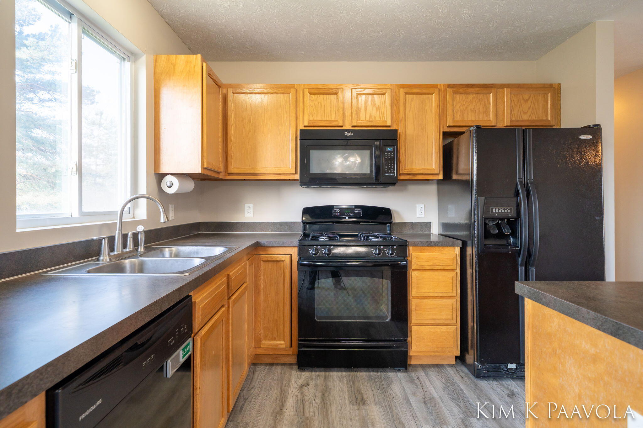 377 Pine Ridge Drive Belding, MI 48809 - Photo 10 of 44 Kitchen