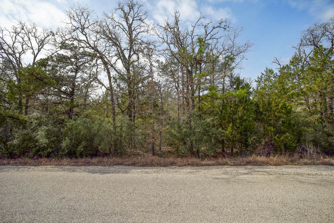 0 Short Street Bastrop, TX 78602 - Photo 11 of 19 a view of a yard and a house