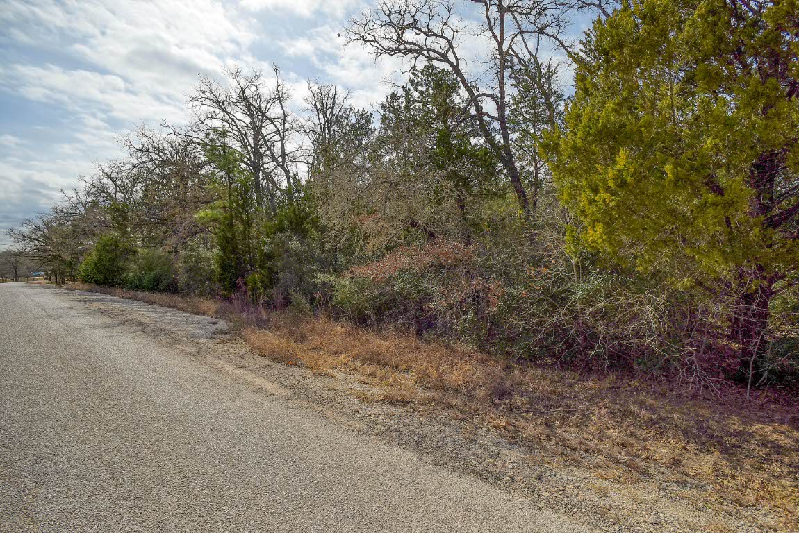 0 Short Street Bastrop, TX 78602 - Photo 12 of 19 a view of a forest with trees in the background
