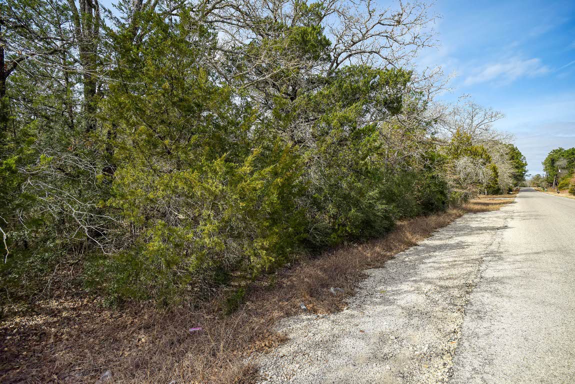 0 Short Street Bastrop, TX 78602 - Photo 4 of 19 a view of a road with plants and trees