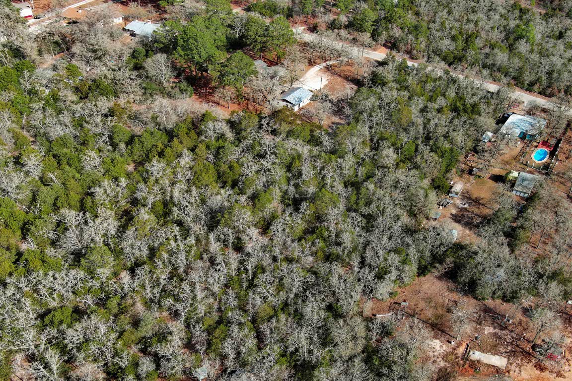 0 Short Street Bastrop, TX 78602 - Photo 9 of 19 a view of a house with a lush green forest