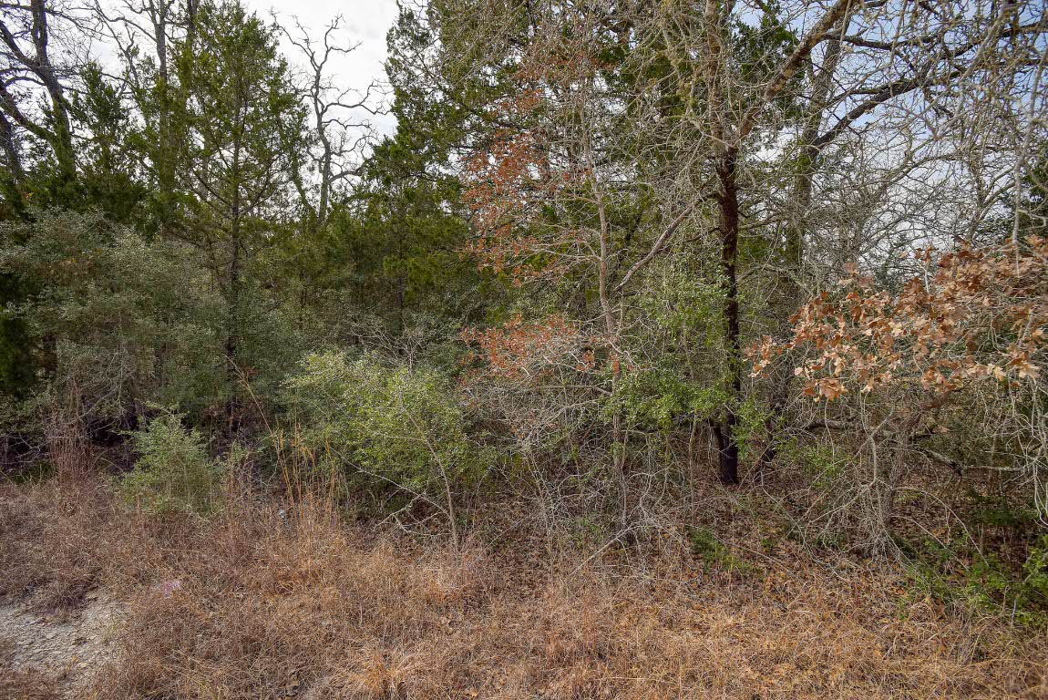 0 Short Street Bastrop, TX 78602 - Photo 10 of 19 a view of a forest with trees in the background