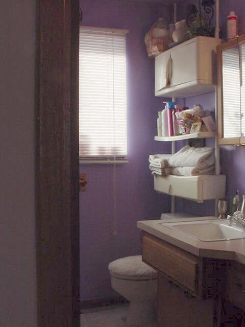 2800 Jones Road Wapato, WA 98951 - Photo 7 of 7 a bathroom with a toilet sink and mirror