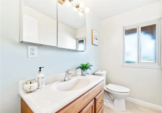 a sink with a potted plant