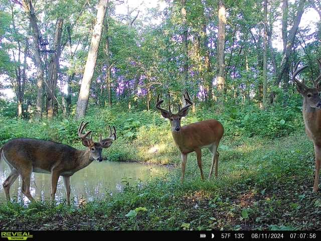 Xx Xx Simons Road Mondovi, WI 54755 - Photo 7 of 45