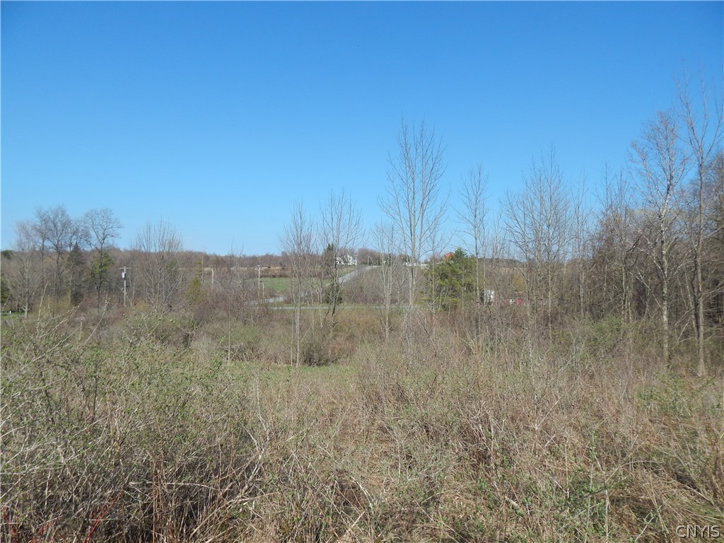 3918 Alene Corners Road Canastota, NY 13032 - Photo 8 of 10