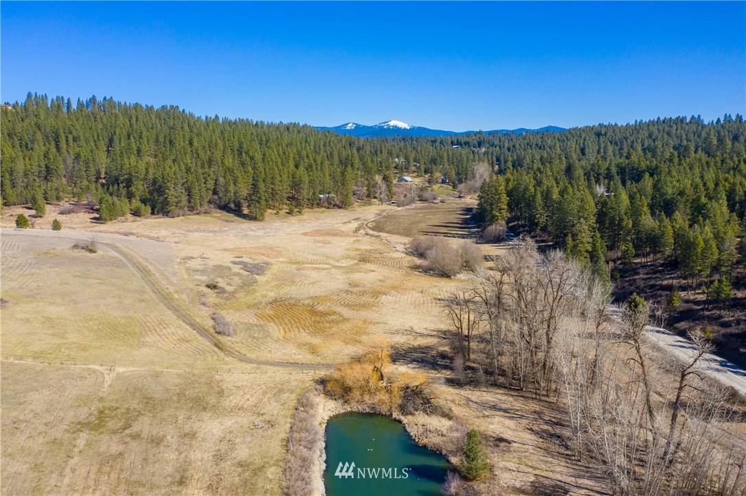 -16xxx North Day Mt Spokane Road Mead, WA 99021 - Photo 7 of 7 Gallery Image 7