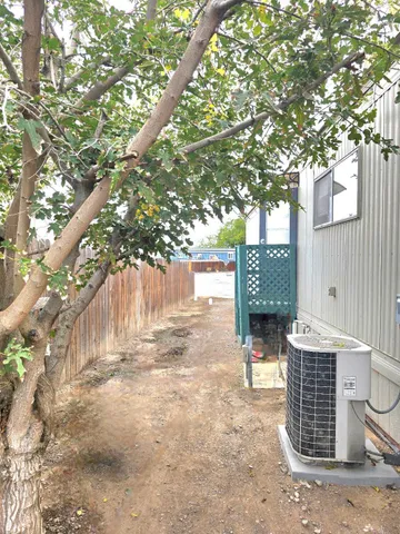 a view of backyard with a chair and potted plants