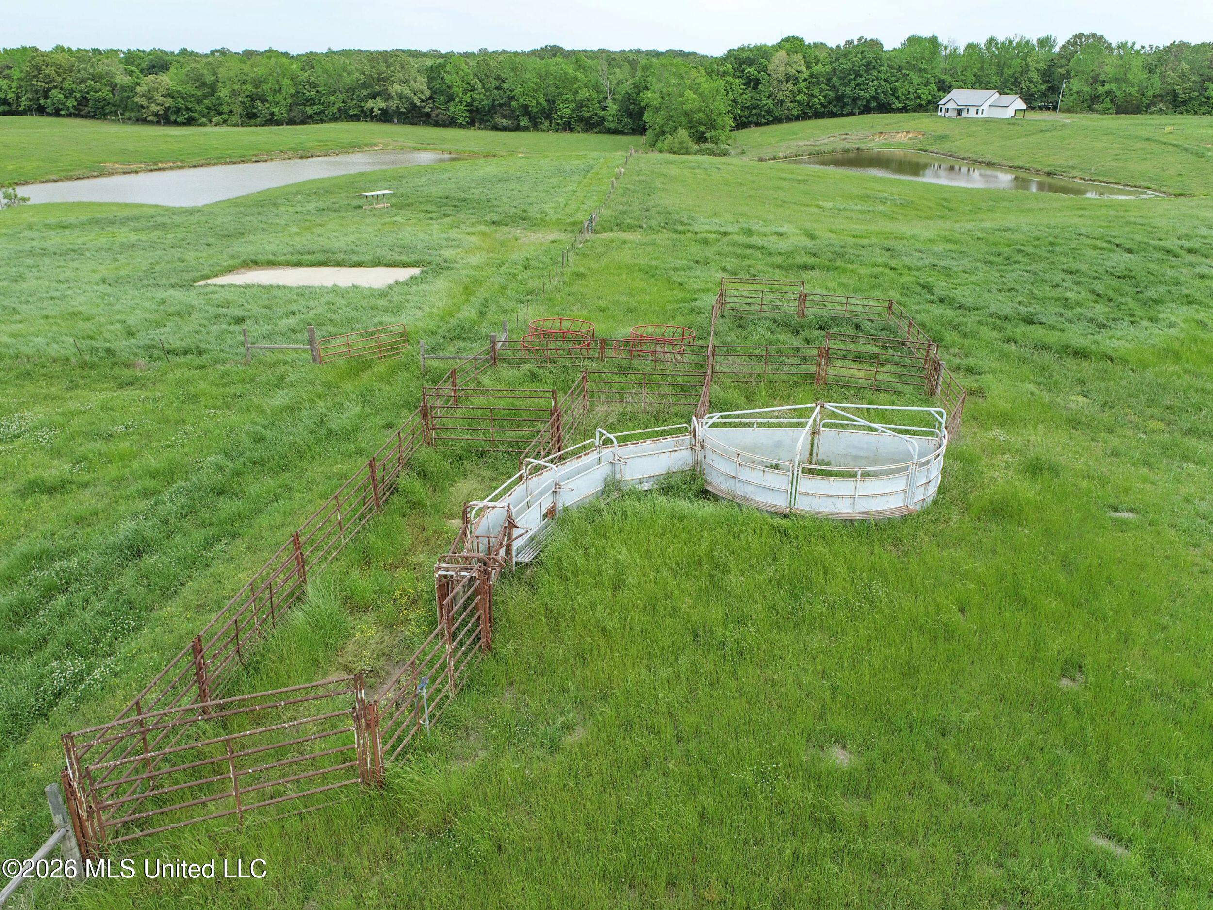 116 Hawkins Road Courtland, MS 38620 - Photo 50 of 200 2tamtgm98