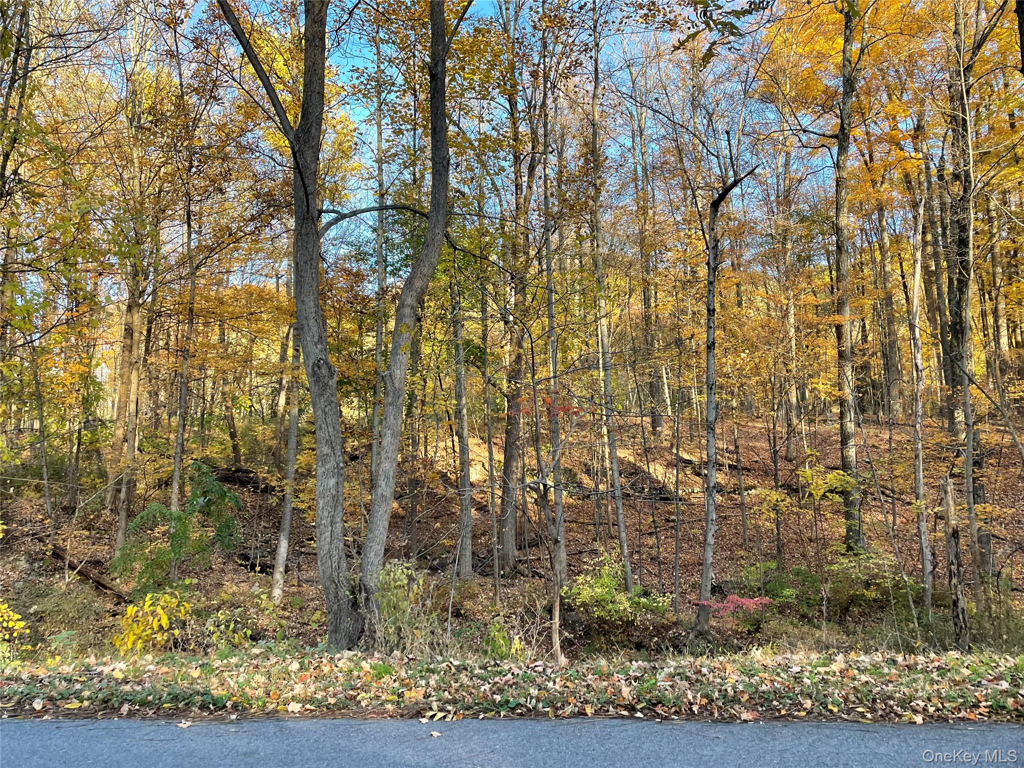 24 Beck Road Poughkeepsie, NY 12601 - Photo 3 of 6 a view of a yard