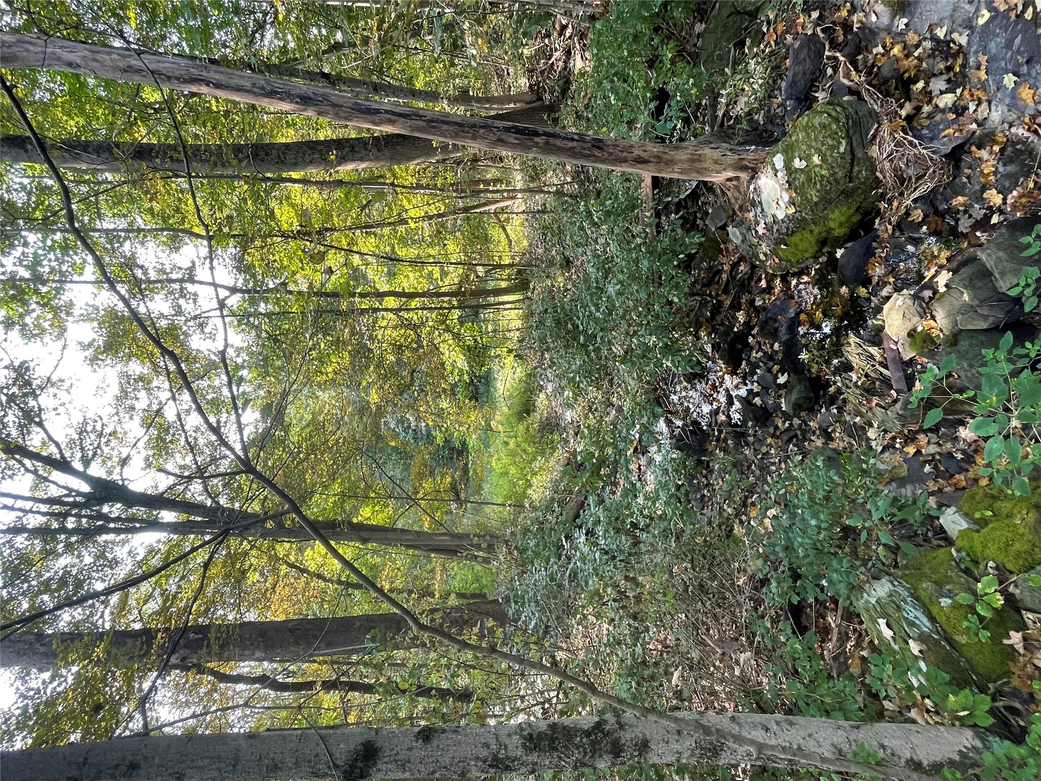 24 Beck Road Poughkeepsie, NY 12601 - Photo 3 of 9 a view of a garden with plants and trees