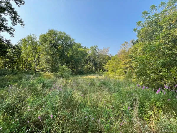 a view of a lush green space