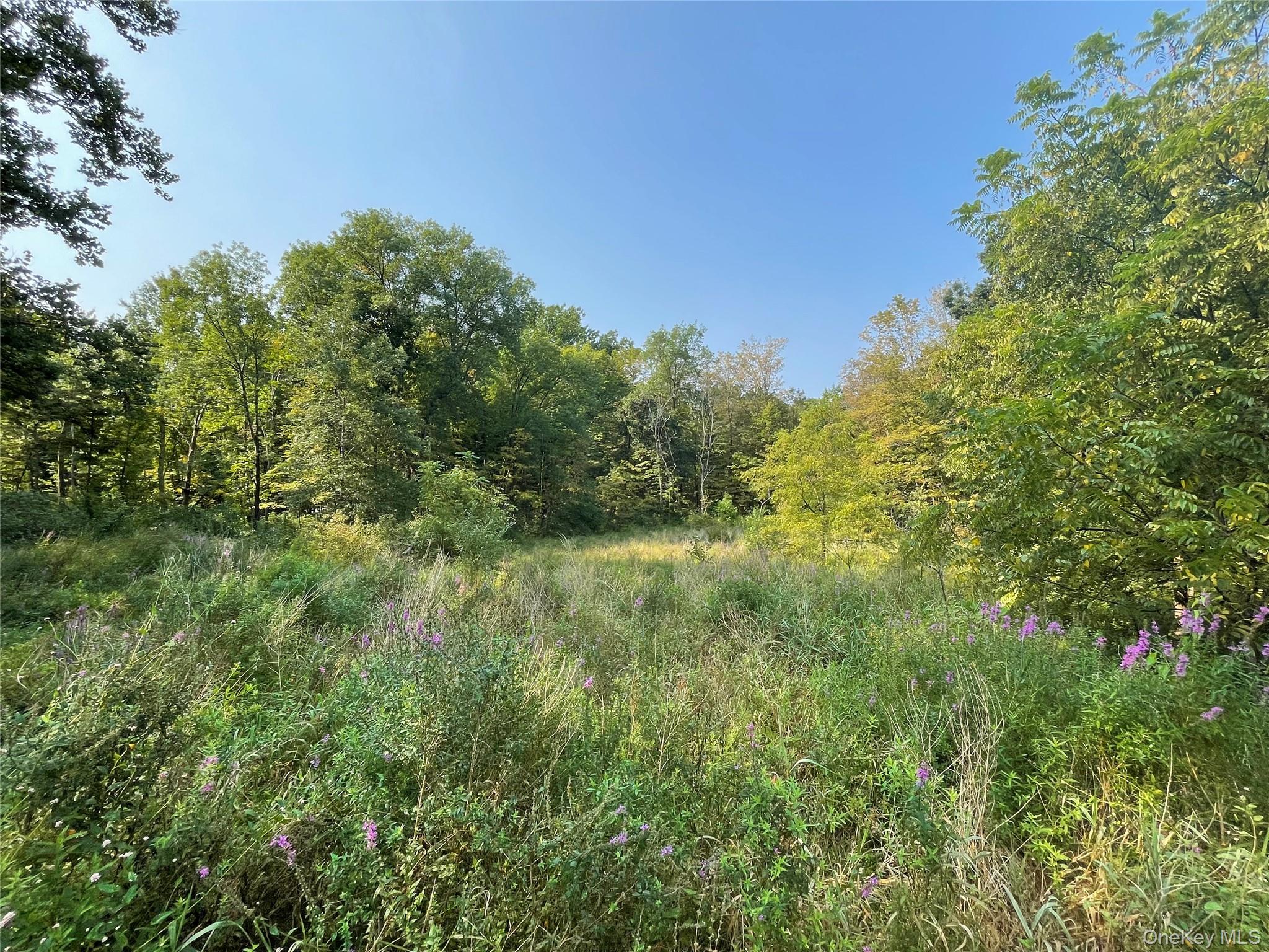 24 Beck Road Poughkeepsie, NY 12601 - Photo 4 of 6 a view of a lush green space