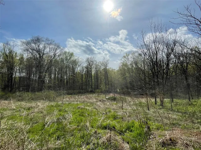 a view of outdoor space with trees