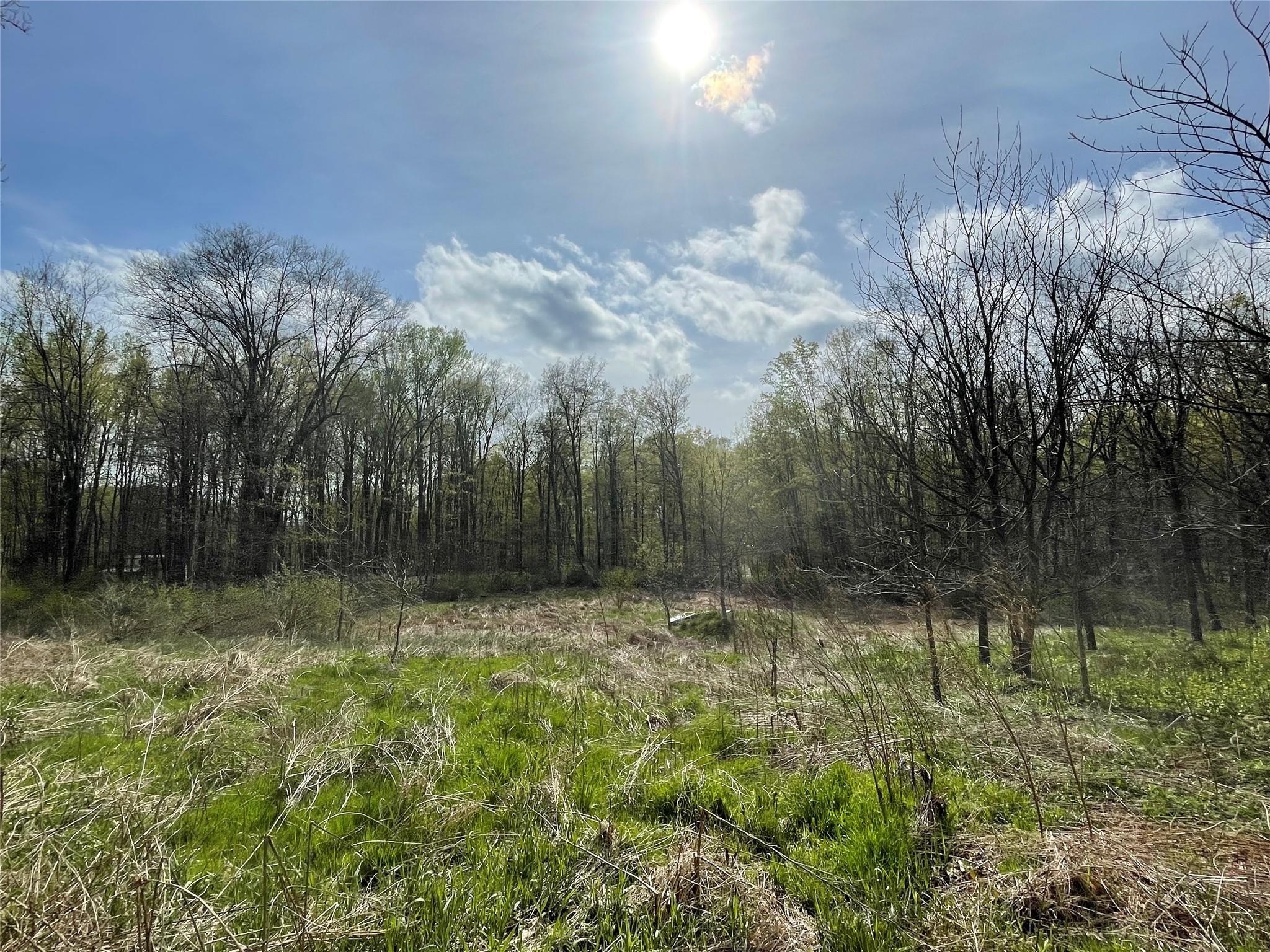 24 Beck Road Poughkeepsie, NY 12601 - Photo 4 of 9 a view of outdoor space with trees