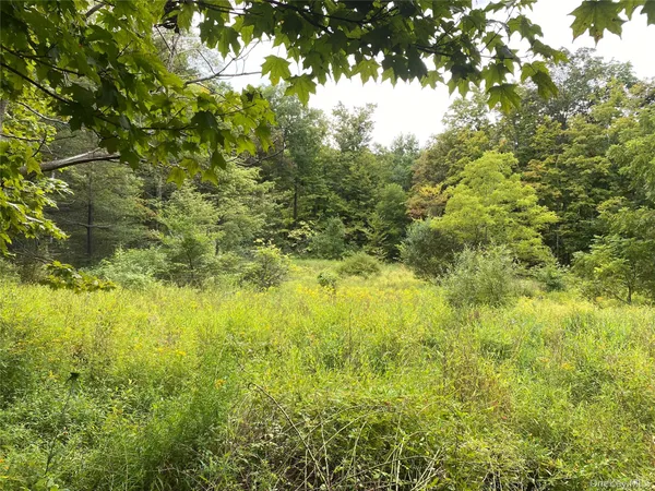 a view of yard with green space
