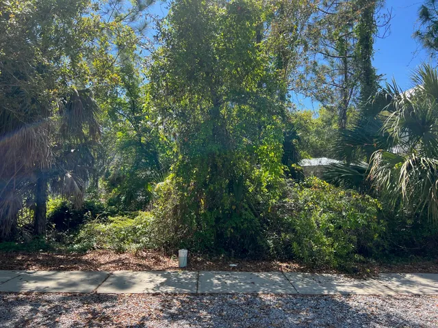 a view of outdoor space and trees all around