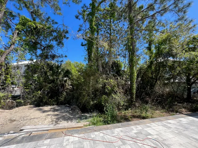 a view of a yard with plants and trees