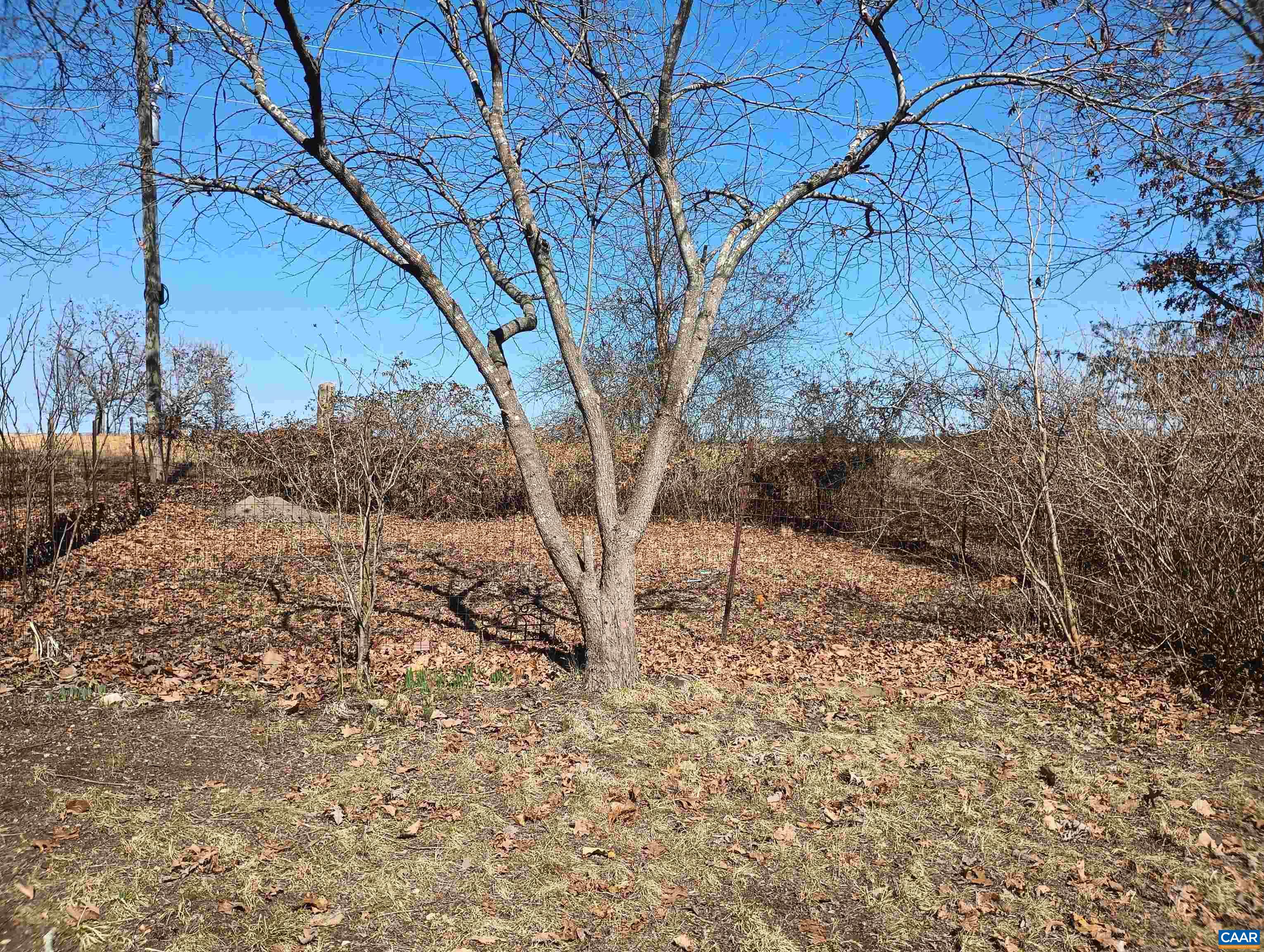 3901 Midland Road Wingina, VA 24599 - Photo 69 of 75