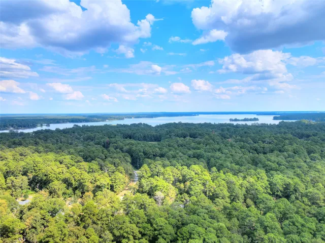 $3,500 | 0 Cottonwood, Trinity, TX 75862