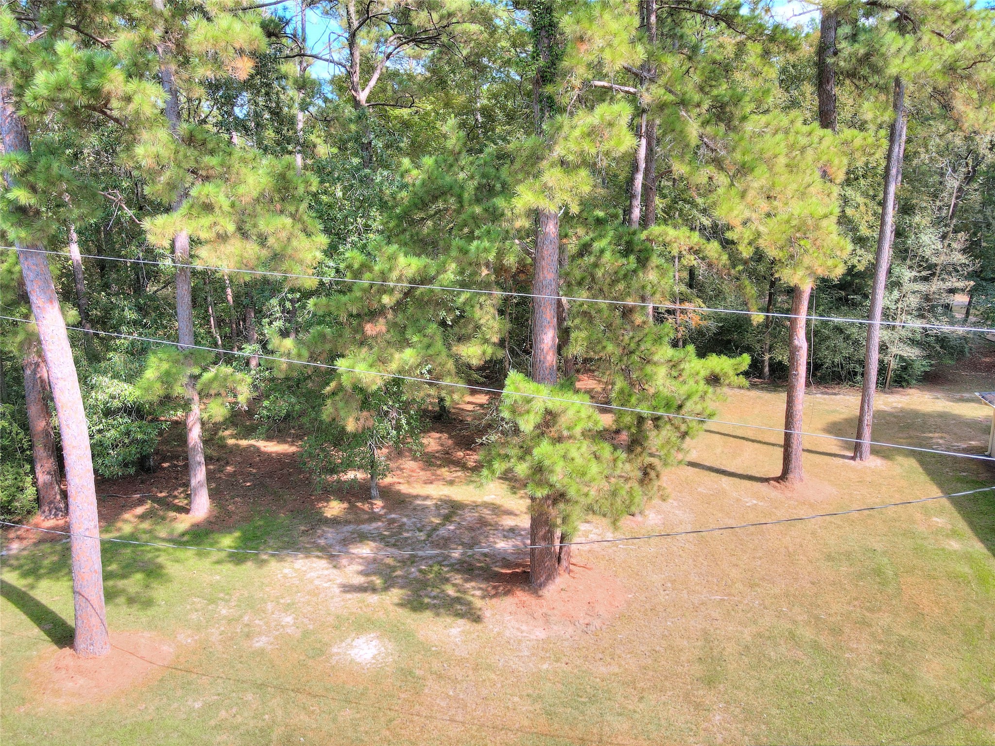 0 Cottonwood Trinity, TX 75862 - Photo 5 of 8