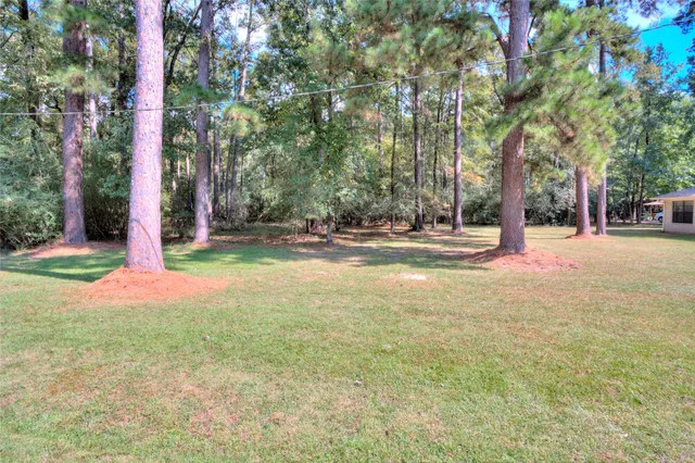 $3,500 | 0 Cottonwood, Trinity, TX 75862