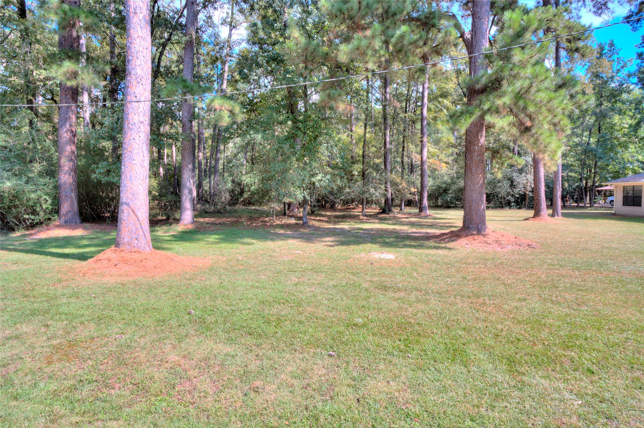 0 Cottonwood Trinity, TX 75862 - Photo 6 of 8