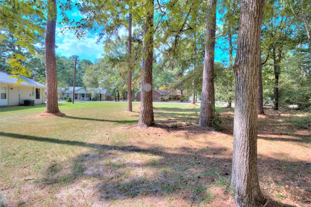 $3,500 | 0 Cottonwood, Trinity, TX 75862