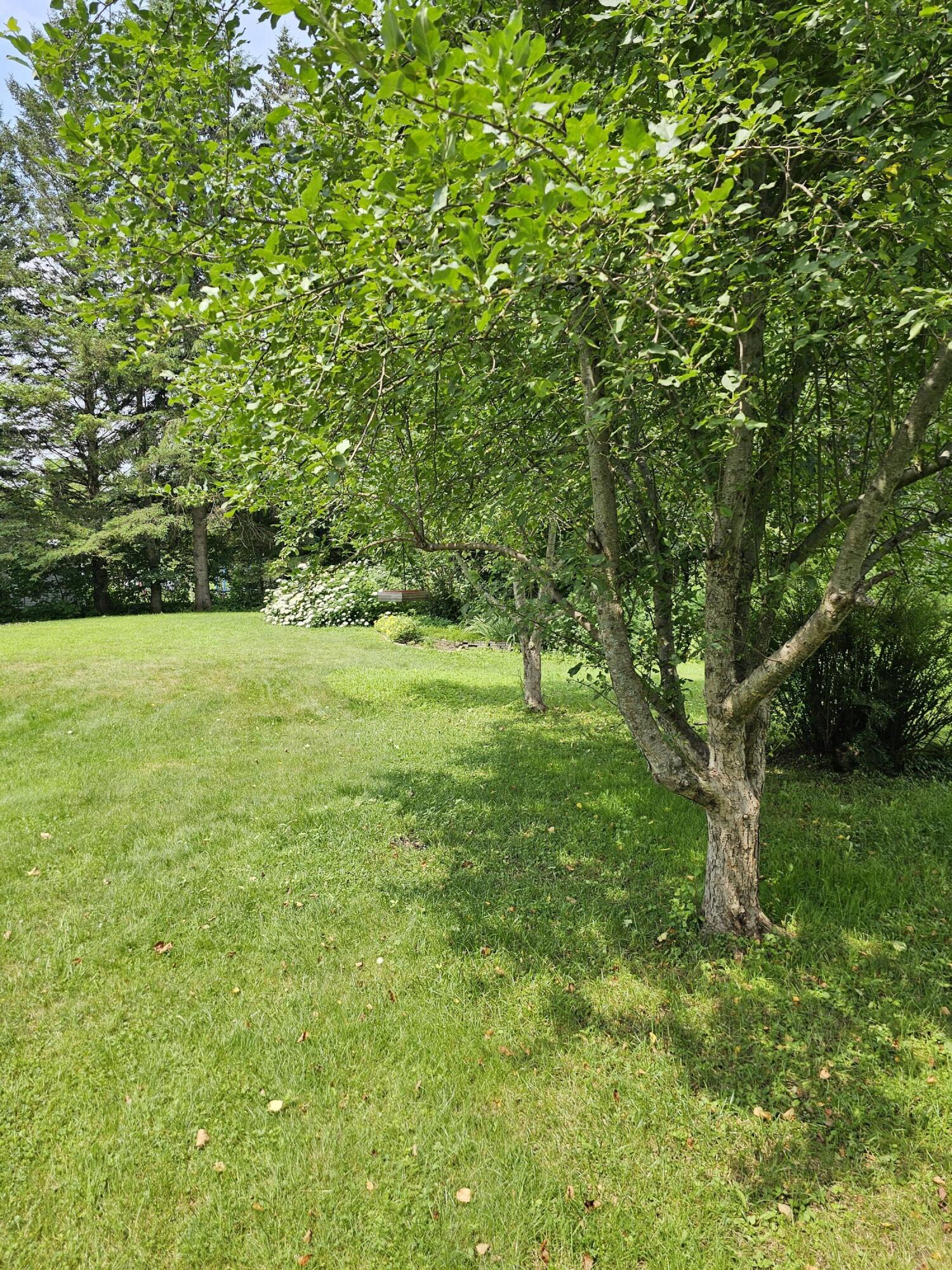 595 Fairbanks Road Farmington, ME 04938 - Photo 9 of 37 20230713_111720