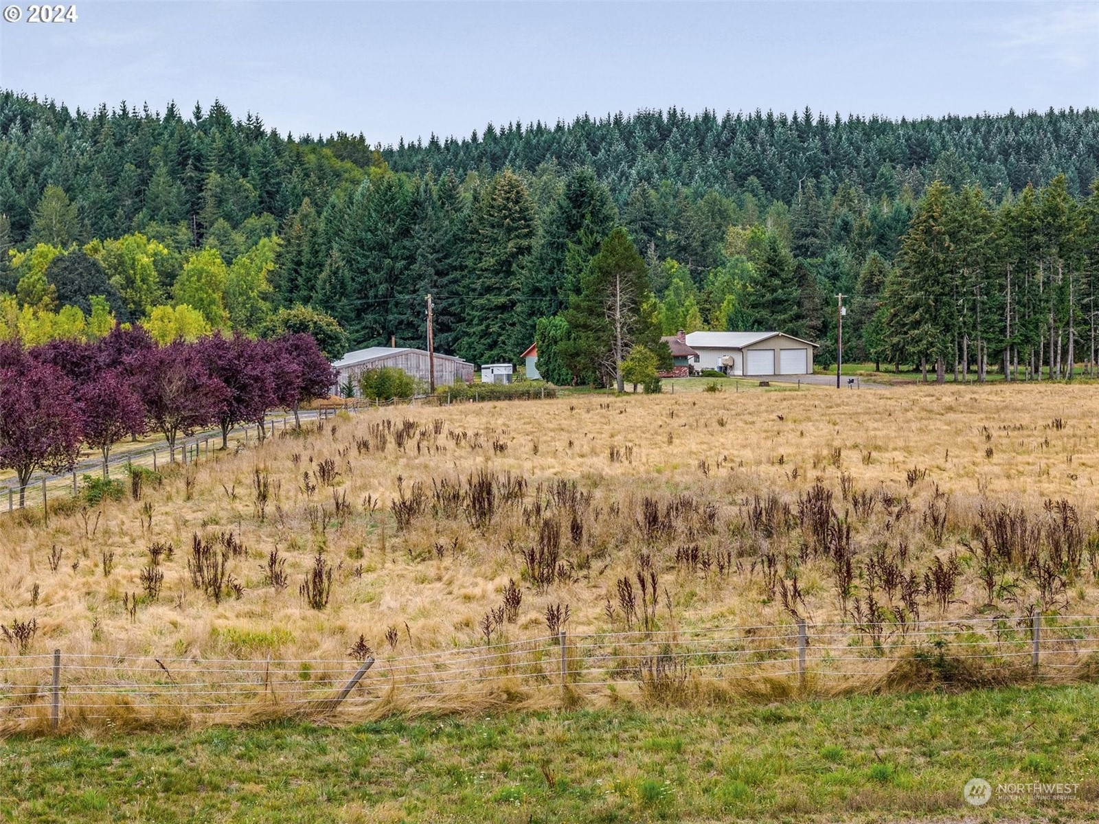 143 Smokey Valley Road Toledo, WA 98591 - Photo 21 of 40 Gallery Image 21