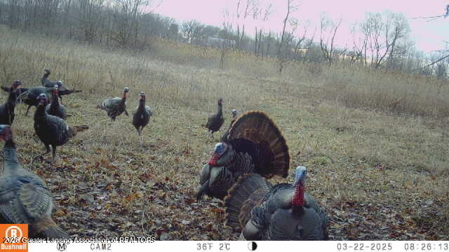 296 South College Road Mason, MI 48854 - Photo 36 of 38 IMG_2169